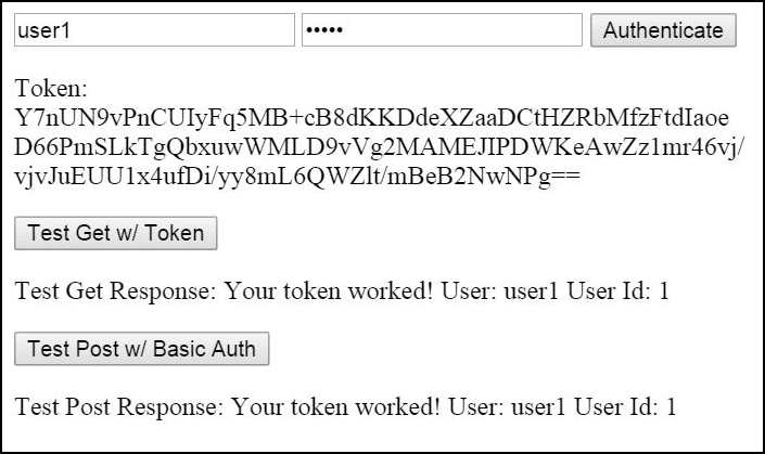 AuthenticationTokenService html and JavaScript